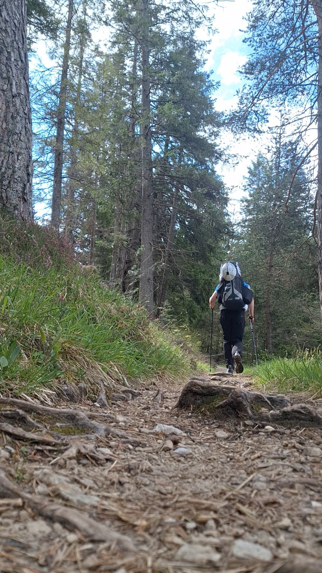 Došlapať